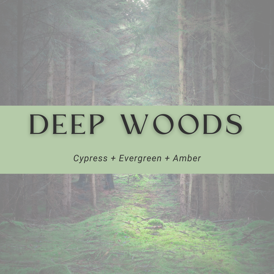 Deep Woods Car Diffuser Oil + Refill Set