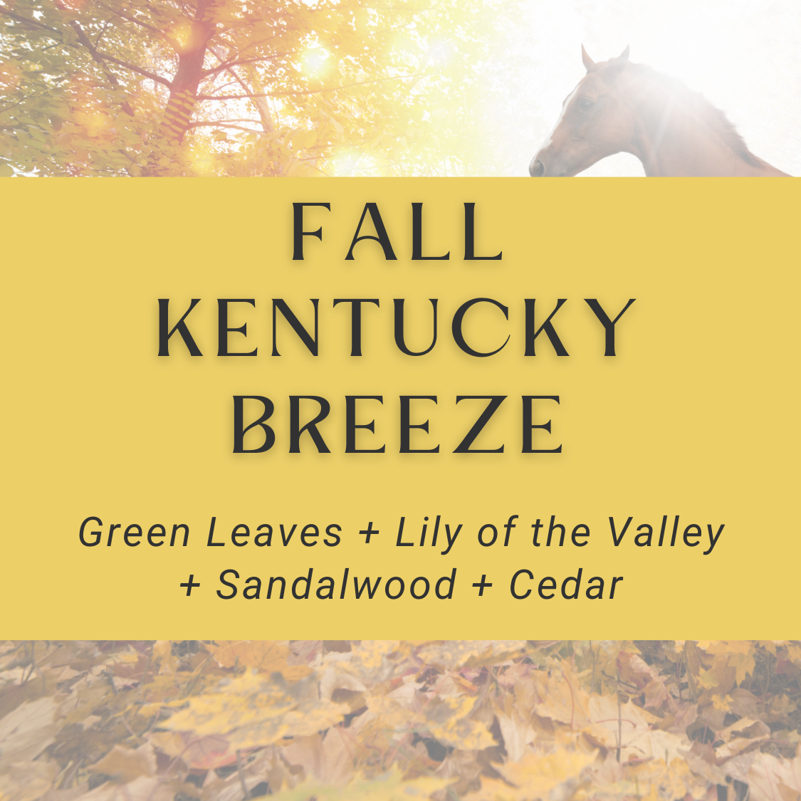 Zen Voyage Car Diffusers