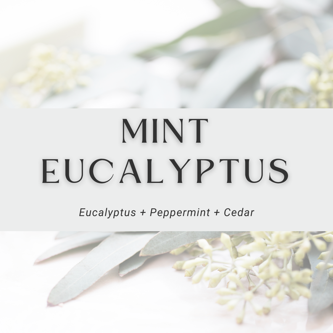 Mint Eucalyptus Soy Candle