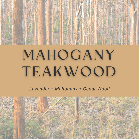 Car Diffuser Refill - Mahogany Teakwood
