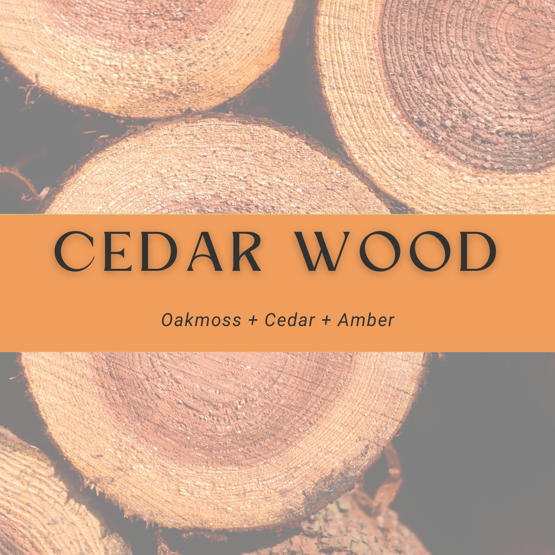 Cedar Wood Car Diffuser Oil + Refill Set