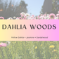 Dahlia Woods Wood Wick Soy Candle