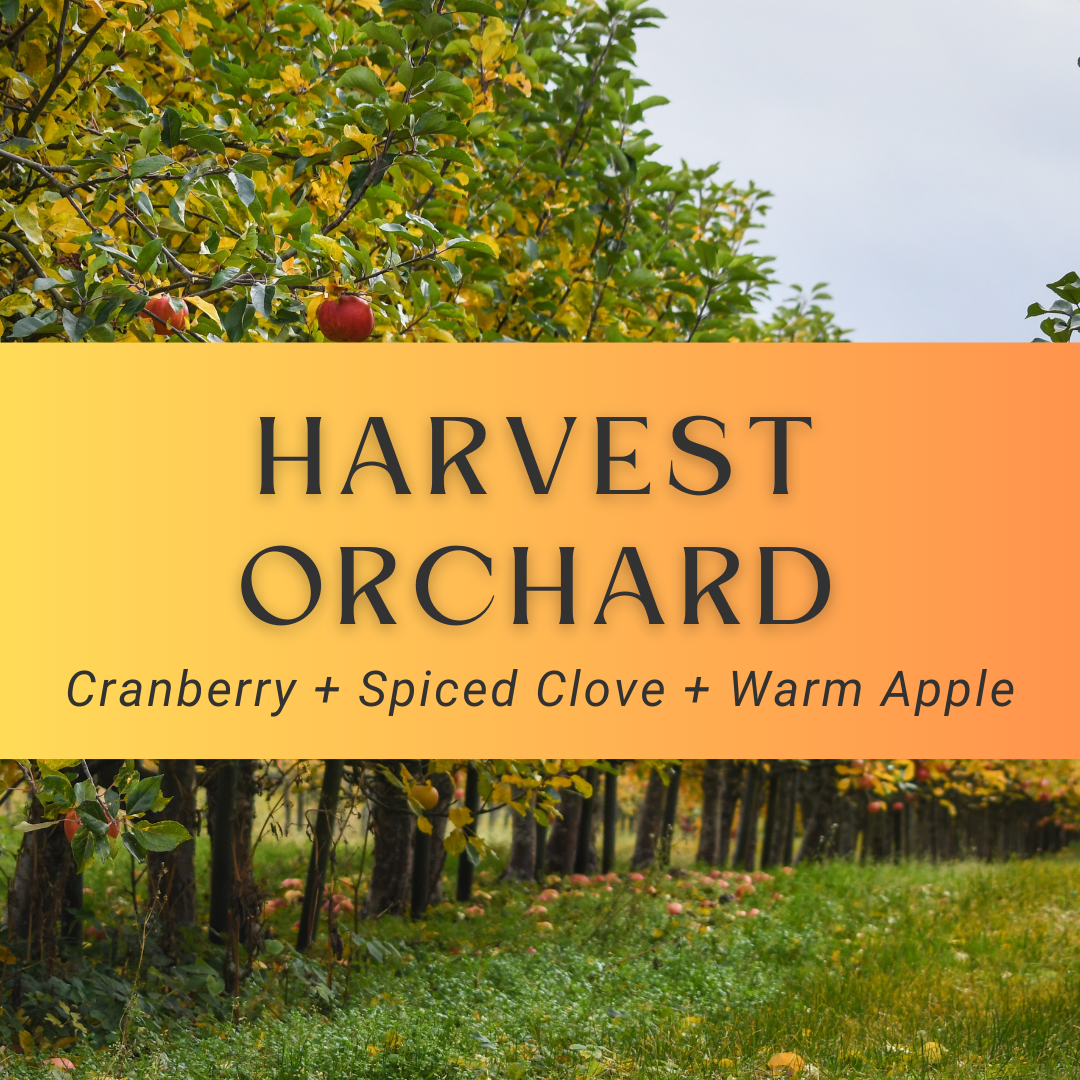 Harvest Orchard Car Diffuser – New for 2025