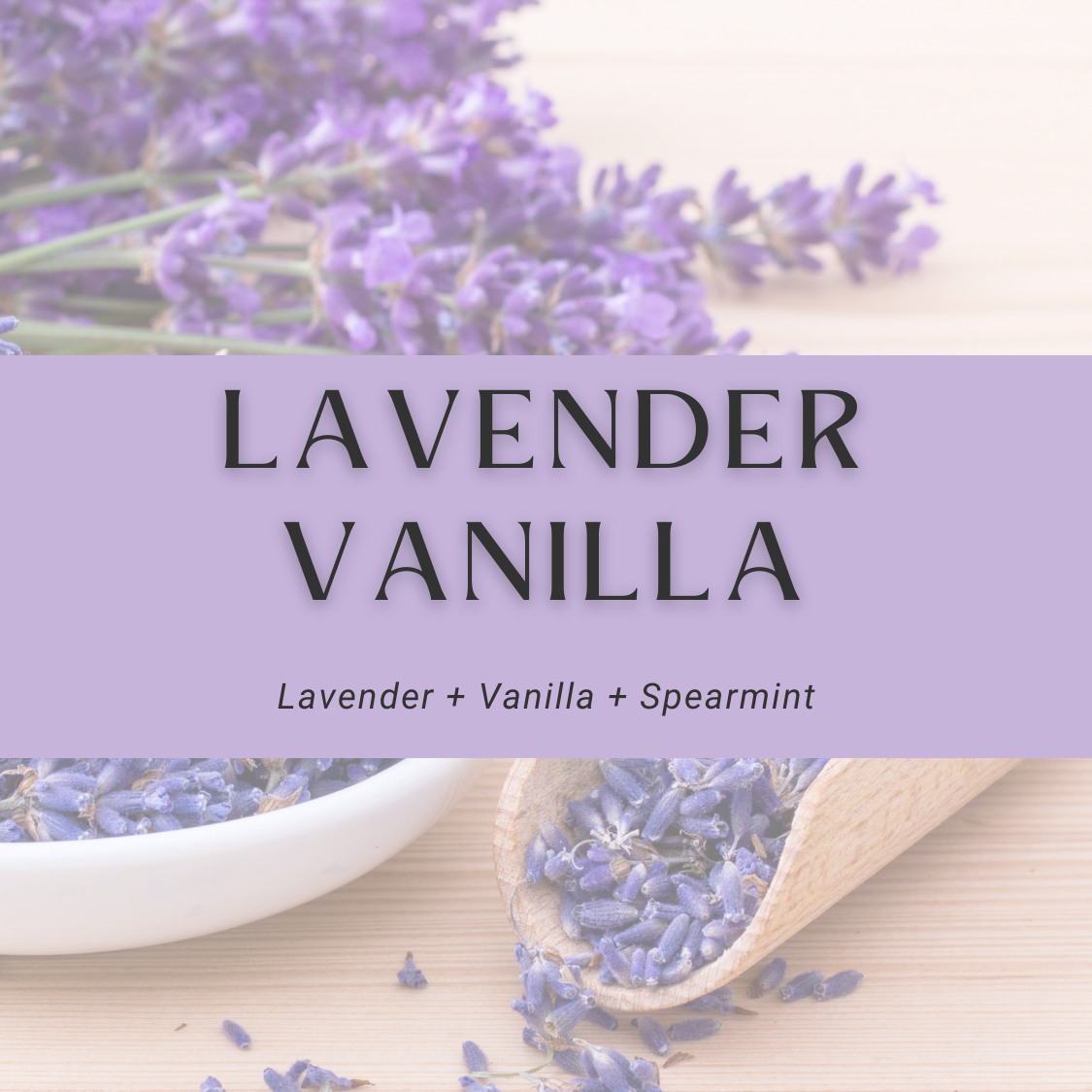 Lavender Vanilla Car Diffuser Oil + Refill Set