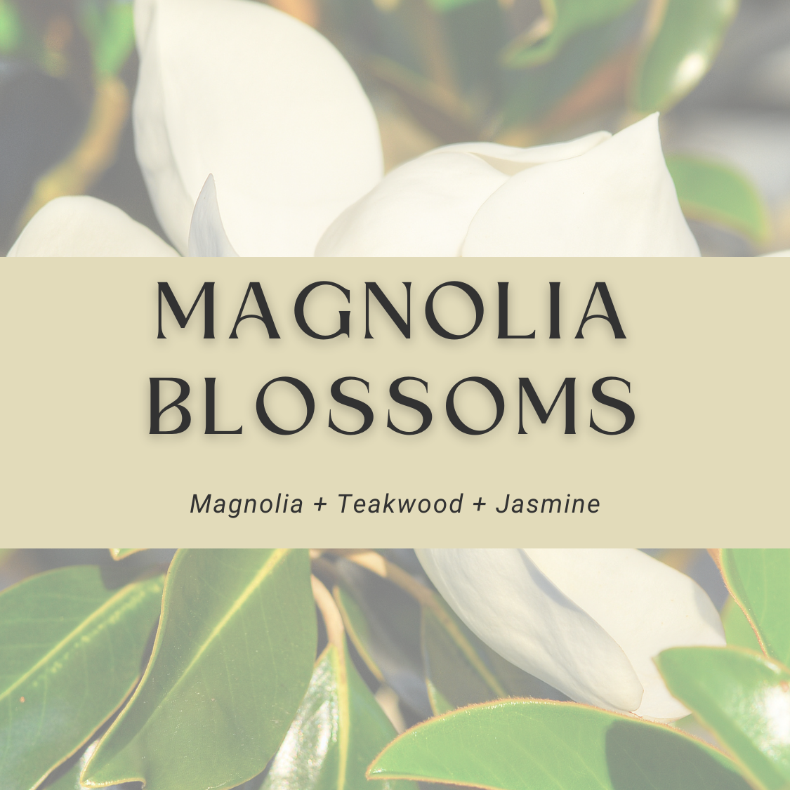 Magnolia Blossoms Soy Candle