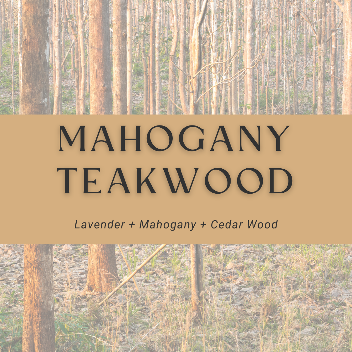 Mahogany Teakwood Car Diffuser Oil + Refill Set