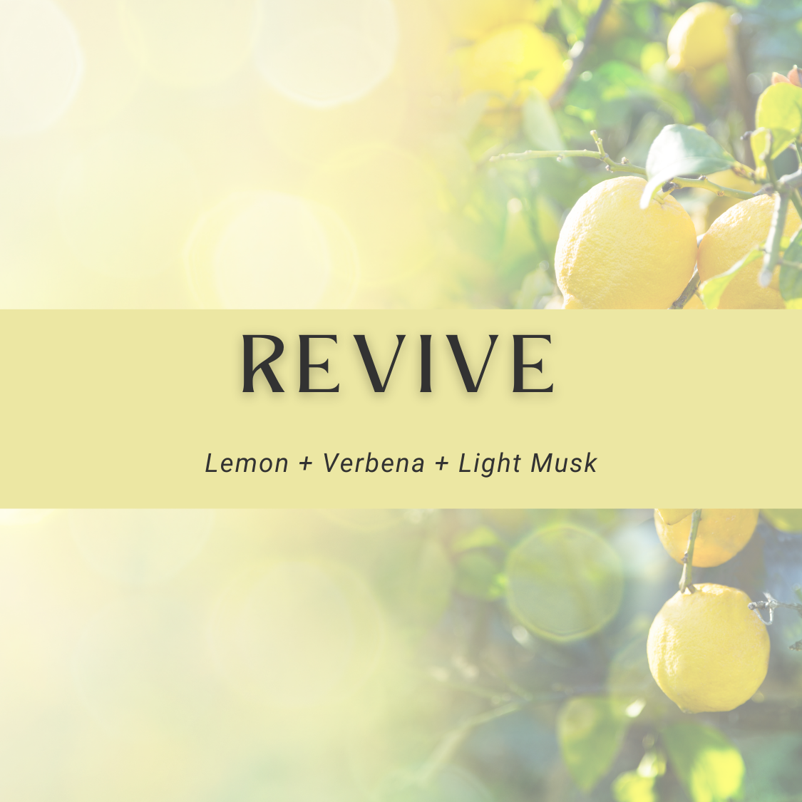 Revive Soy Candle