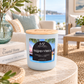 Island Vibes 12 oz pineapple coconut soy candle in a matte sky-blue jar with a wood lid