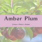 Mini Candle - Amber Plum