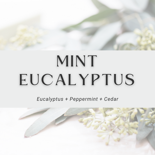 Car Diffuser Refill - Mint Eucalyptus