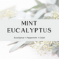 Mint Eucalyptus Car Diffuser
